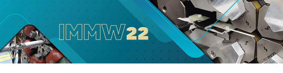 22nd International Magnetic Measurement Workshop (IMMW22) - Virtual
